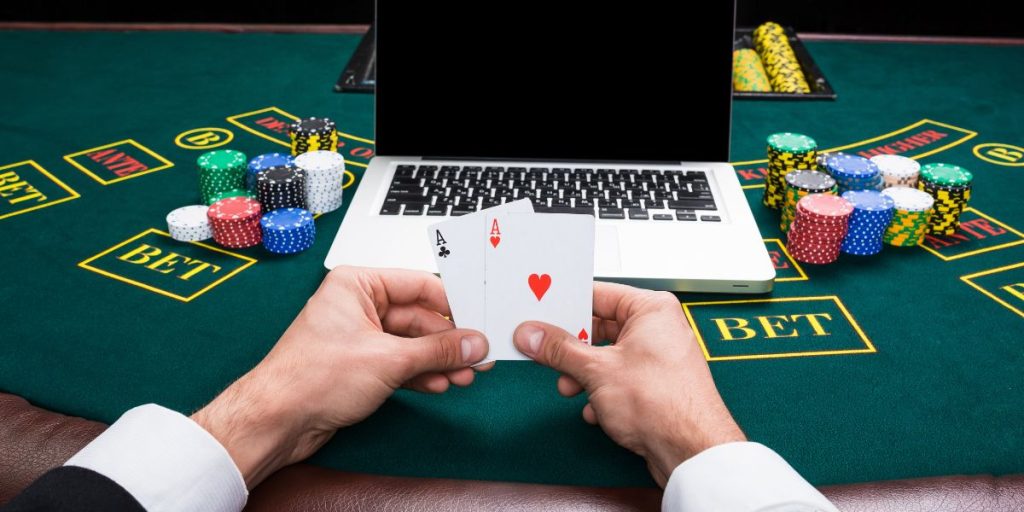 Vekio pronos et avis
