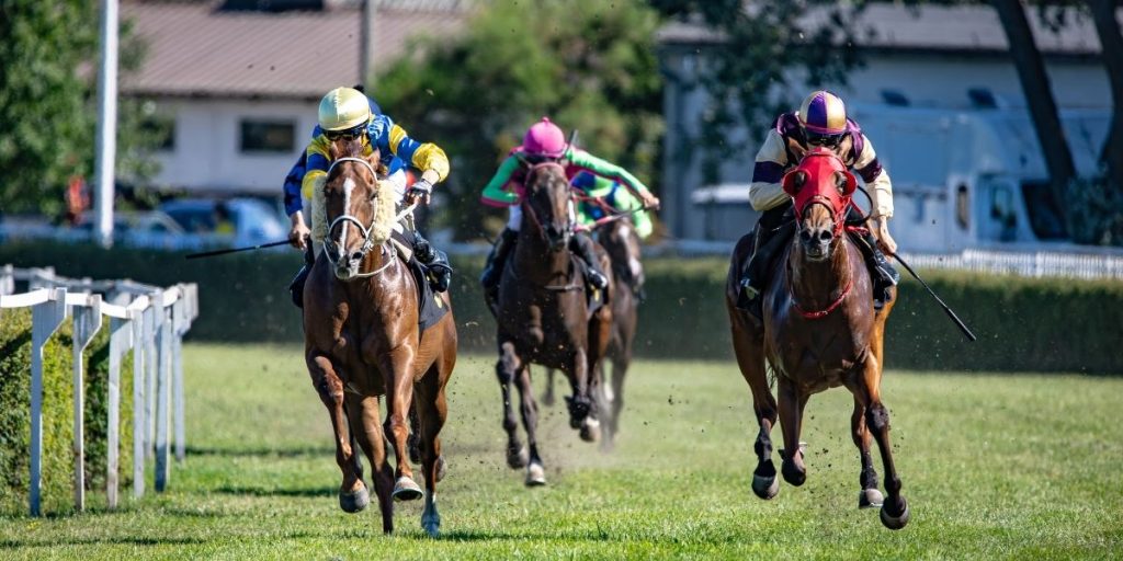 Parier sur courses hippiques